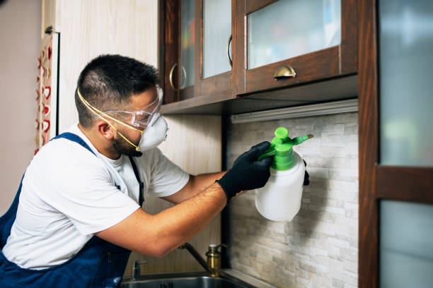 Trusted Redwood Falls, MN Pest Control Experts