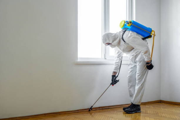 Wildlife Control Services in Redwood Falls, MN