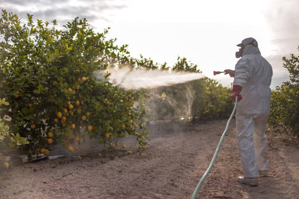Best Bed Bug Extermination  in Redwood Falls, MN