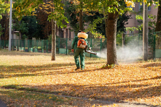 Best Termite Control Services  in Redwood Falls, MN