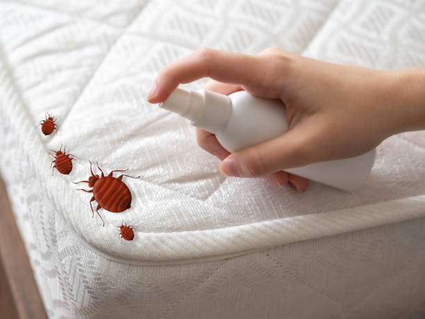 Best Pest Removal Services  in Redwood Falls, MN