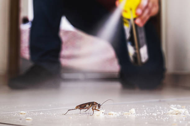 Best Emergency Pest Control  in Redwood Falls, MN